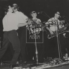 LAURA A JEJÍ TYGŘI