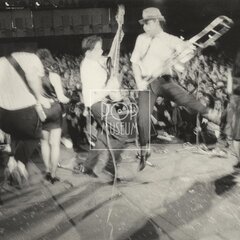 LAURA A JEJÍ TYGŘI