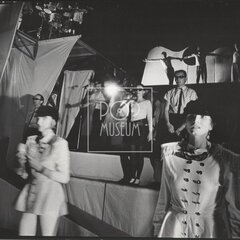 LAURA A JEJÍ TYGŘI