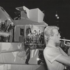 LAURA A JEJÍ TYGŘI