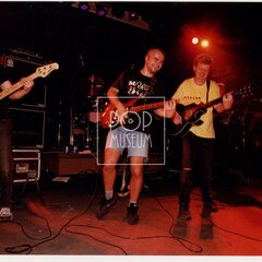 MŇÁGA A ŽĎORP (& Slepé střevo a Happyend)