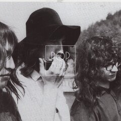 PLASTIC PEOPLE OF THE UNIVERSE