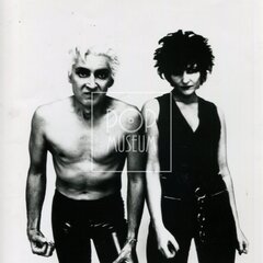 SIOUXSIE AND THE BANSHEES (& The Creatures)