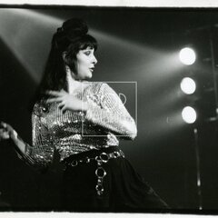 SIOUXSIE AND THE BANSHEES (& The Creatures)