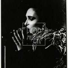 SIOUXSIE AND THE BANSHEES (& The Creatures)