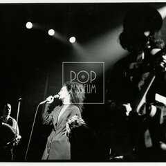 SIOUXSIE AND THE BANSHEES (& The Creatures)