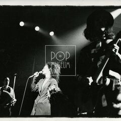 SIOUXSIE AND THE BANSHEES (& The Creatures)