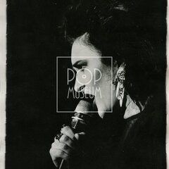 SIOUXSIE AND THE BANSHEES (& The Creatures)