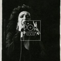 SIOUXSIE AND THE BANSHEES (& The Creatures)