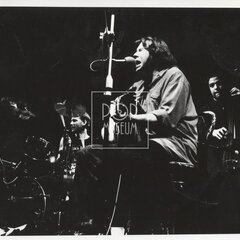 TŘEŠŇÁK, VLASTIMIL