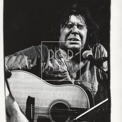 TŘEŠŇÁK, VLASTIMIL