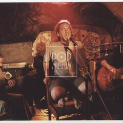 TY SYČÁCI (Petr Váša)